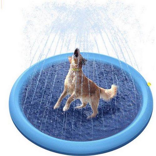Pets Care